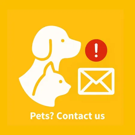 Rcn Les Collines De 4* كاستيلان